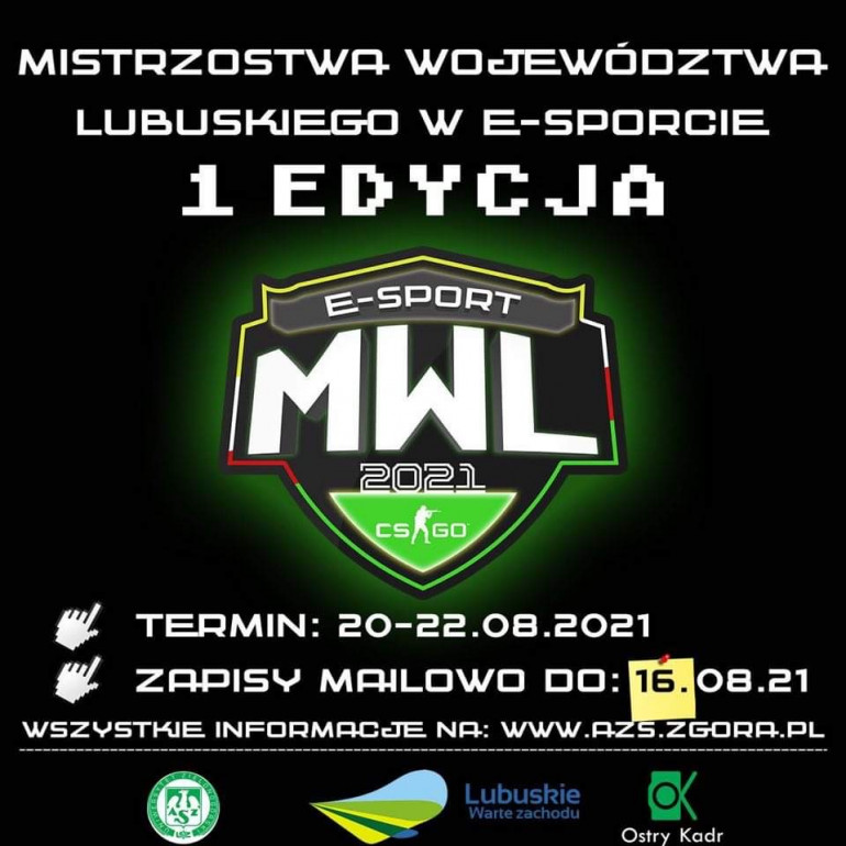 Mistrzostwa Województwa Lubuskiego w e-sporcie