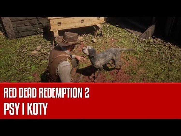 Psy i koty w grze Red Dead Redemption 2