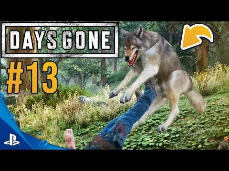 PRZEZ TE WILKI DOSTANĘ KIEDYŚ ZAWAŁU!???? DAYS GONE #13