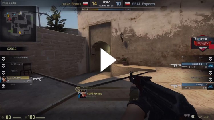 DDOS dla SEAL ESPORTS?
