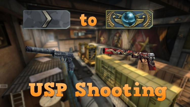 Silver 1 to Global Elite ★ USP shooting