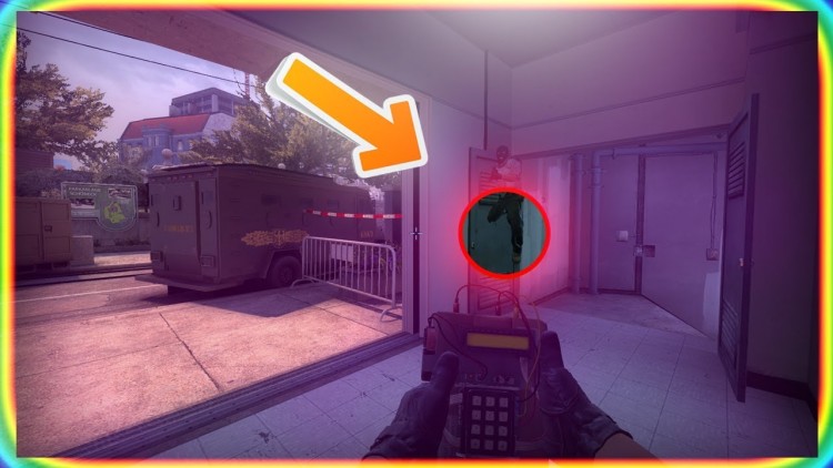 10 BUG MOMENTS in PRO MATCHES