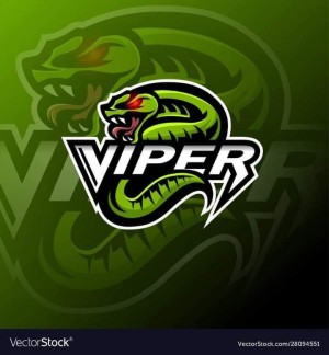 Drużyna Viper Gaming - Gampre.pl