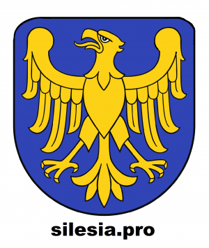 Drużyna esportowa silesia.pro - Gampre.pl