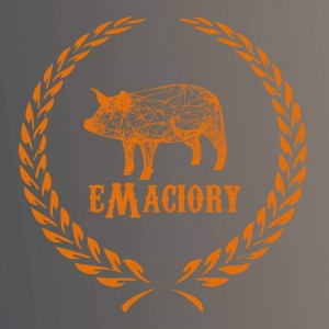 Drużyna esportowa eMaciory - Gampre.pl