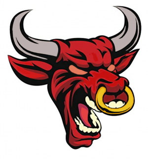 Drużyna esportowa AGGRESVIVE BULLS - Gampre.pl