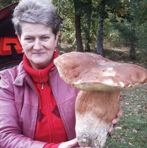 Drużyna Grzybolapy - Gampre.pl