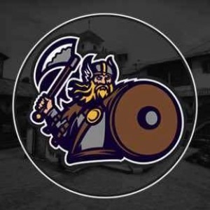 Drużyna Vikings-Esports - Gampre.pl