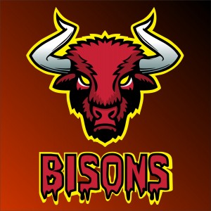 Drużyna BISONS - Gampre.pl