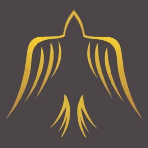 Drużyna esportowa Fallen Hawks - Gampre.pl