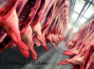Drużyna esportowa Ubojnia-team - Gampre.pl