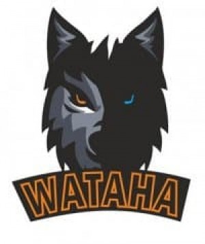 Drużyna esportowa Wataha Squad - Gampre.pl