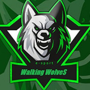 Drużyna WalkingWolveS - Gampre.pl