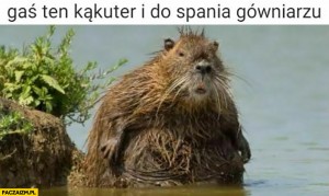 Drużyna esportowa TeamRouse - Gampre.pl