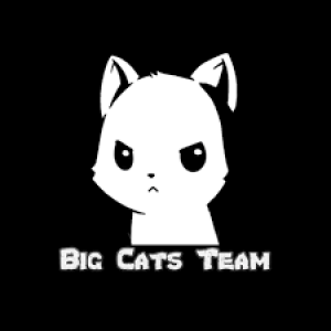 Drużyna BIG CATS TEAM - Gampre.pl