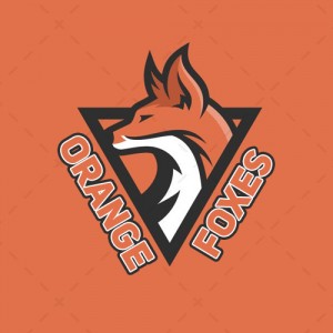 Drużyna esportowa Orange Foxes E-sports - Gampre.pl