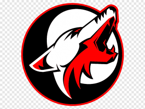 Drużyna esportowa Polish_Coyotes - Gampre.pl