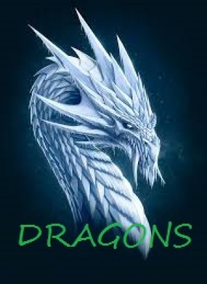 Drużyna SnowYDragonS - Gampre.pl