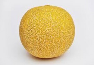Drużyna esportowa YUBARI MELONS - Gampre.pl