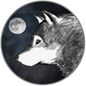 Drużyna WolfPack - Gampre.pl