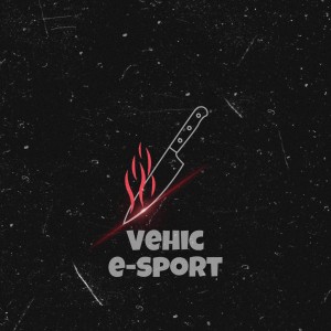 Drużyna Vehic e-sport - Gampre.pl