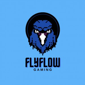 Drużyna flyflow - Gampre.pl