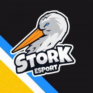 Drużyna esportowa STORK ESPORT - Gampre.pl