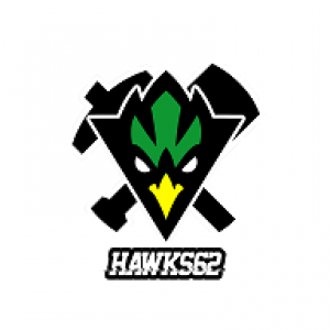 Drużyna esportowa Hawks62 - Gampre.pl
