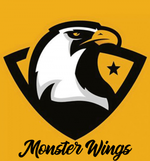 Drużyna MonsterWings - Gampre.pl