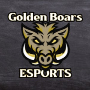 Drużyna GoldenBoars - Gampre.pl