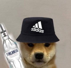 Drużyna Doggerz - Gampre.pl