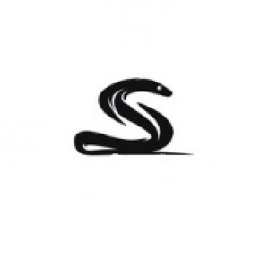 Drużyna esportowa SNAKES - Gampre.pl