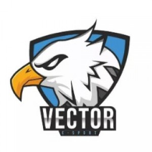 Drużyna VECTOR E-sports - Gampre.pl