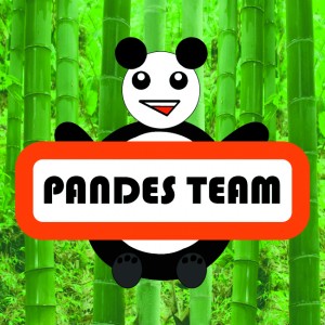 Drużyna esportowa Pandes team - Gampre.pl