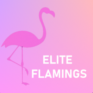 Drużyna Elite-Flamings - Gampre.pl