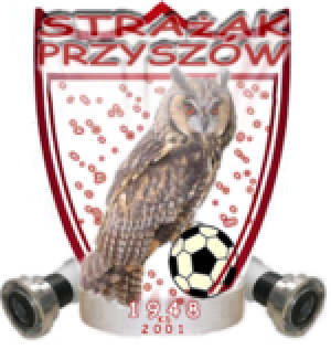 Drużyna esportowa Strażak Przyszów  - Gampre.pl