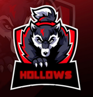 Drużyna Hollows - Gampre.pl