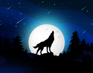 Drużyna esportowa NightWolves - Gampre.pl