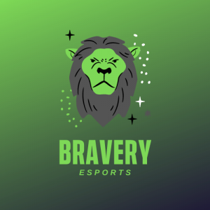 Drużyna Bravery Esports - Gampre.pl