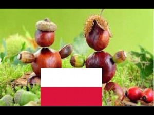 Drużyna esportowa Châtaignes de pologne - Gampre.pl