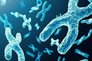 Drużyna STYLCHROMOSOMÓW - Gampre.pl