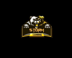 Drużyna esportowa ⚡STORM E-SPORT⚡ - Gampre.pl