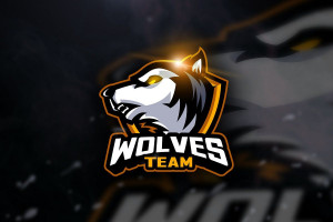 Drużyna WOLVES TEAM - Gampre.pl