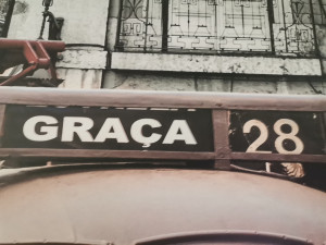 Drużyna Graca28 - Gampre.pl