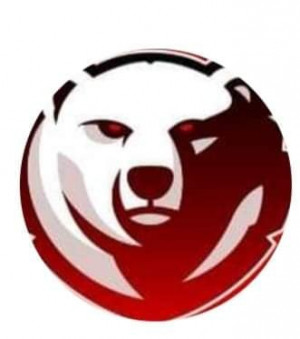 Drużyna esportowa Polar Bears - Gampre.pl