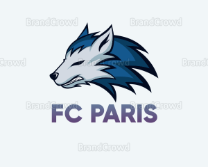 Drużyna esportowa FC PARIS - Gampre.pl