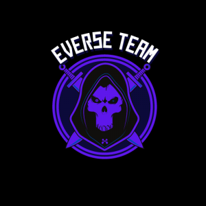 Drużyna EverseTeam - Gampre.pl