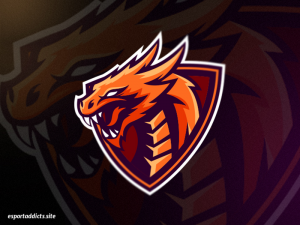 Drużyna Dragon Team PL - Gampre.pl