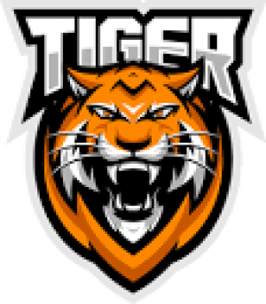 Drużyna esportowa TigerTeam - Gampre.pl