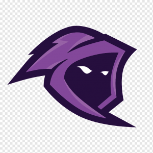 Drużyna esportowa Dominus Team - Gampre.pl